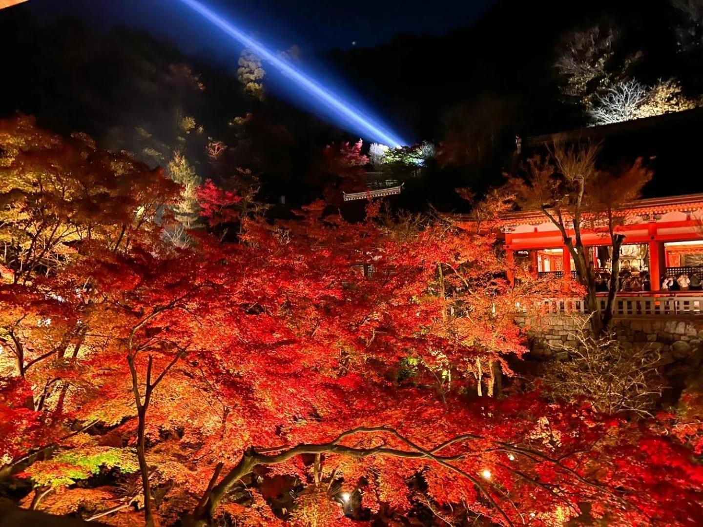 קיוטו Rinn Kiyomizu Gion מראה חיצוני תמונה